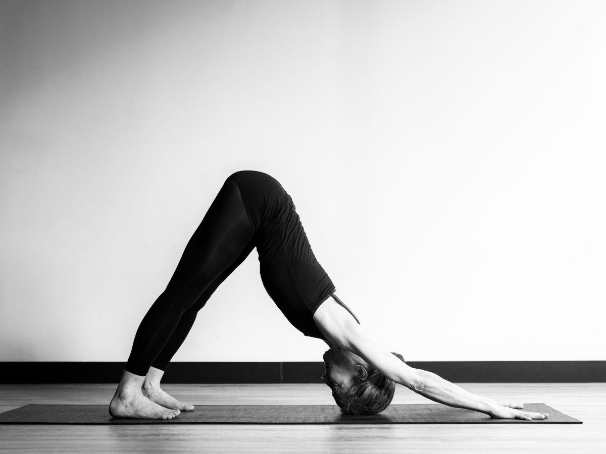 Marjara Krama | Lion Cub